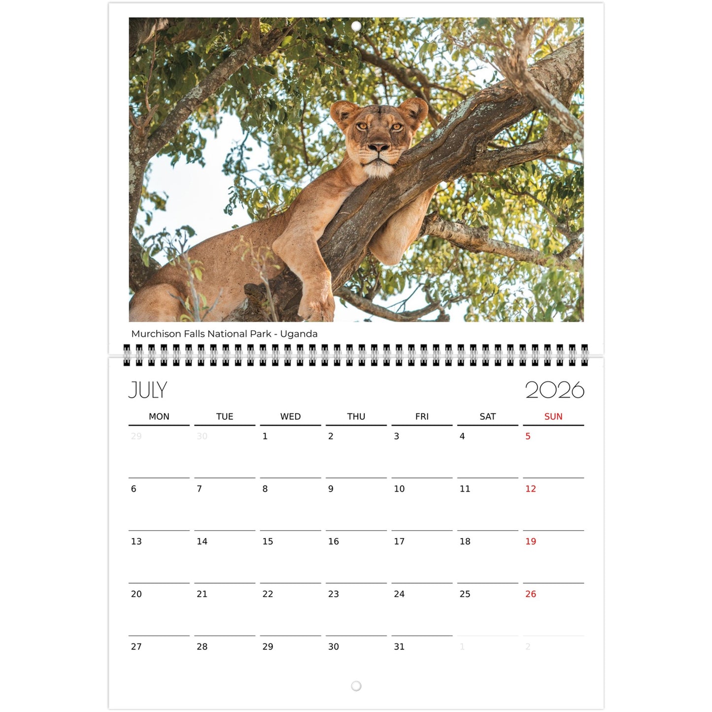 051ecb26-2c28-4d34-9980-d84cc21ffd0e