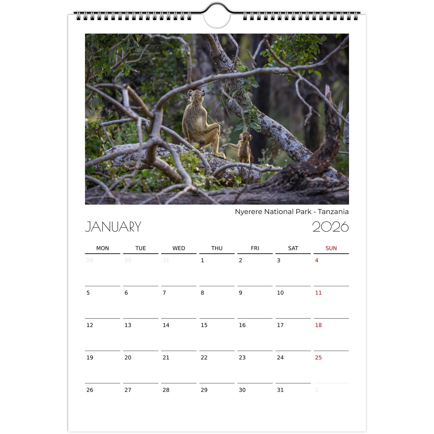 20d5f5a8-d673-4072-977f-465775433c0c