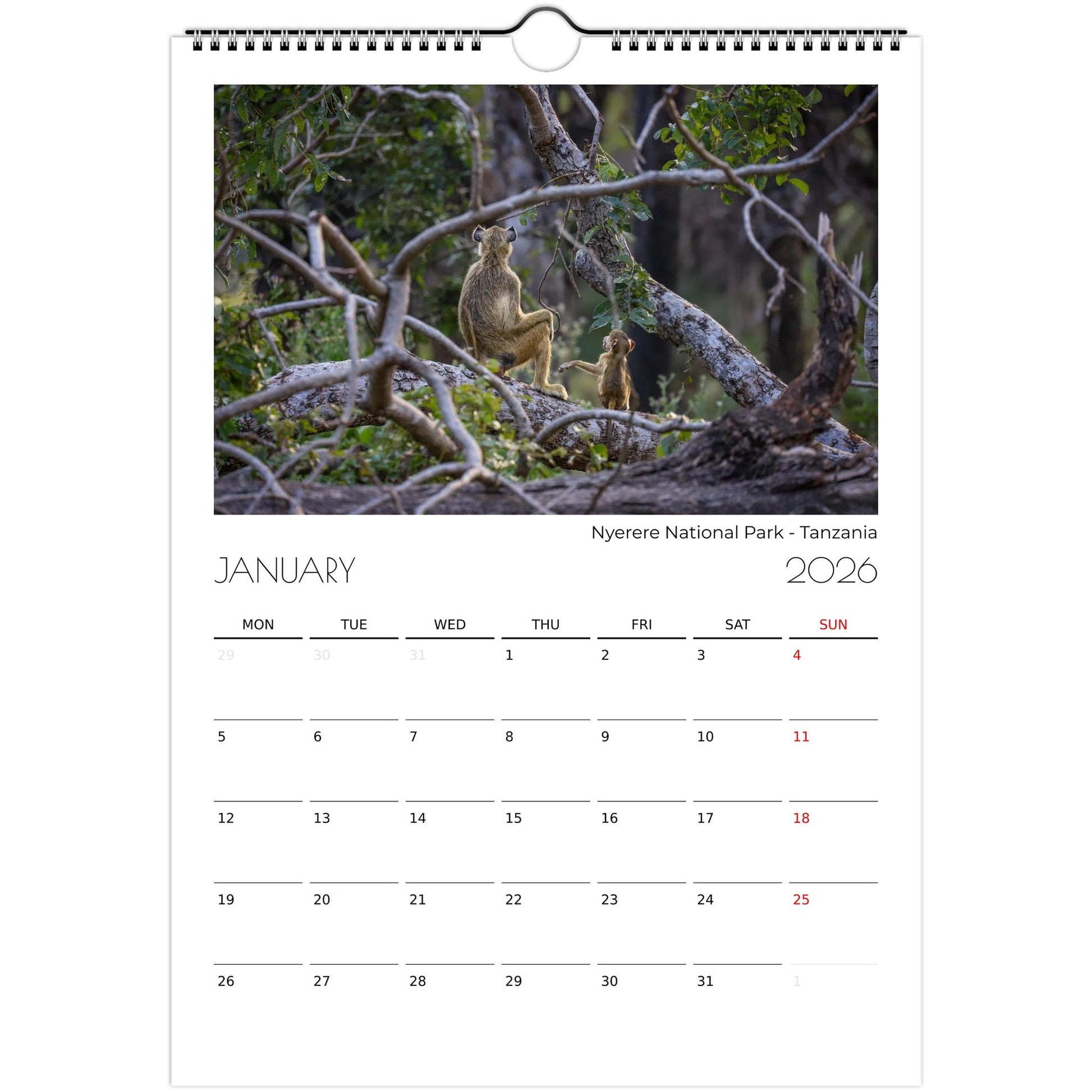 20d5f5a8-d673-4072-977f-465775433c0c