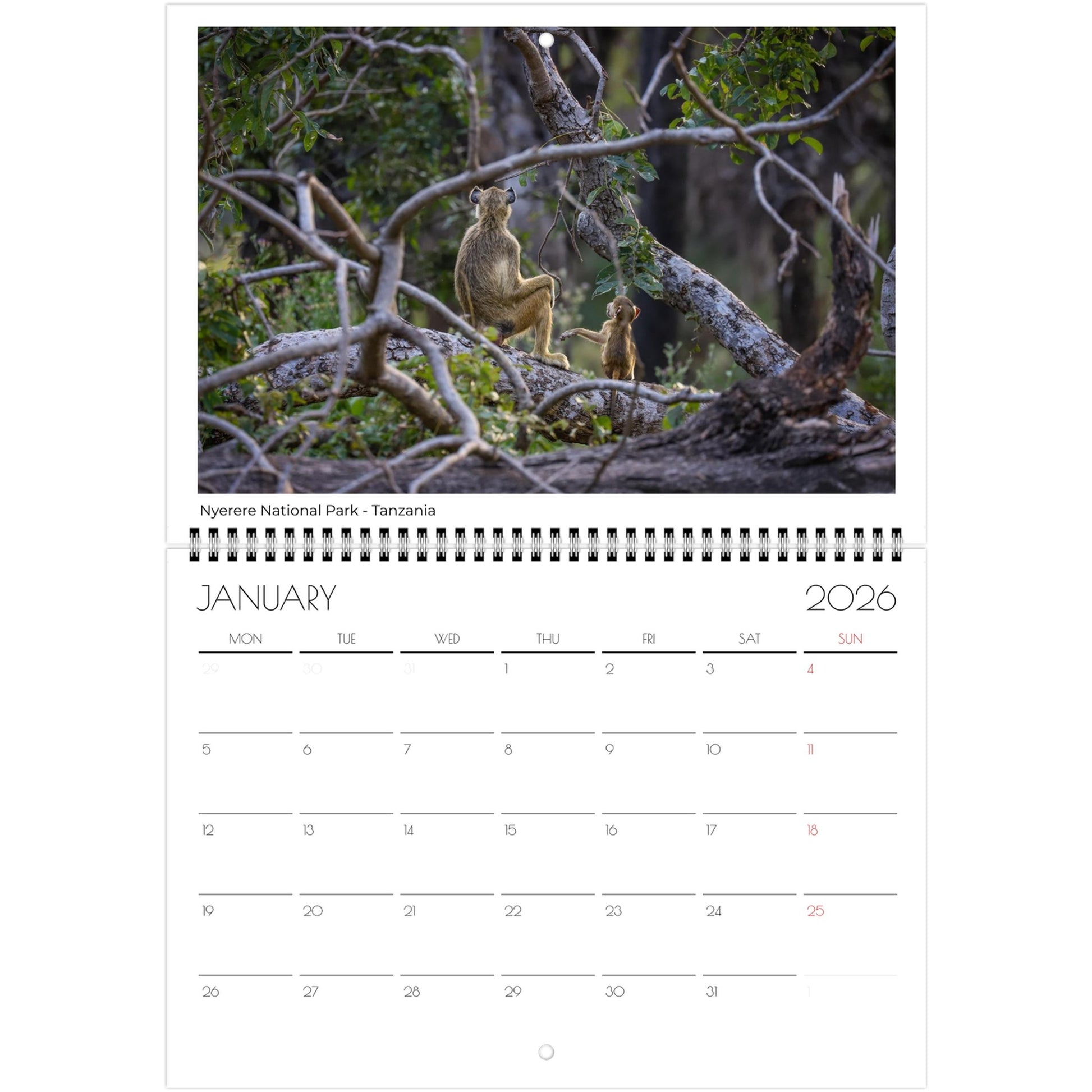 48c8d224-2085-44dc-93cf-e658ab9d63d4