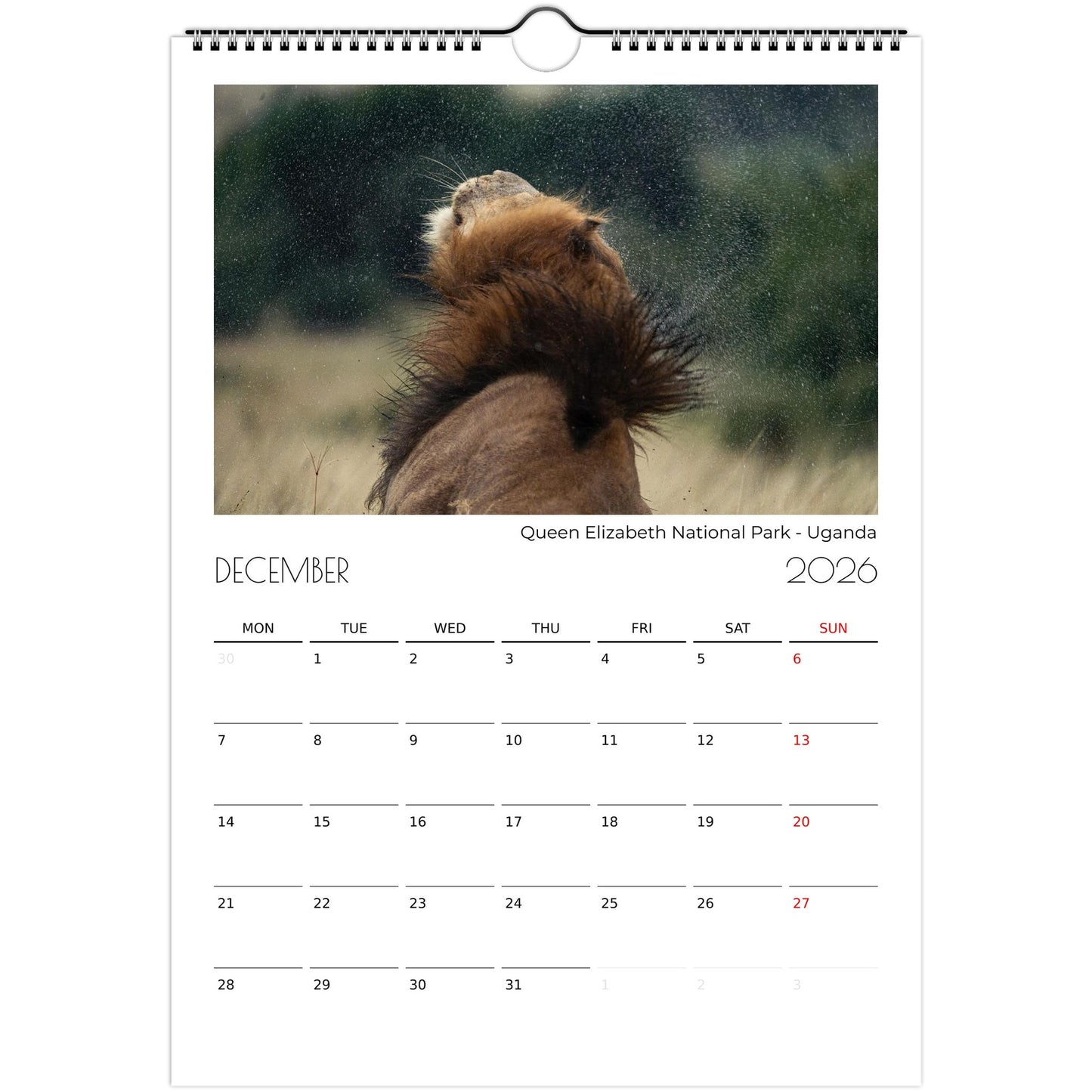 653bcca7-fe2d-4d47-9403-2362af9d4b61