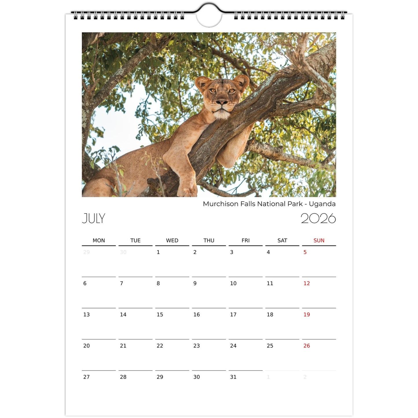 ab360fa9-0819-4409-9f2a-892a16ef48f7