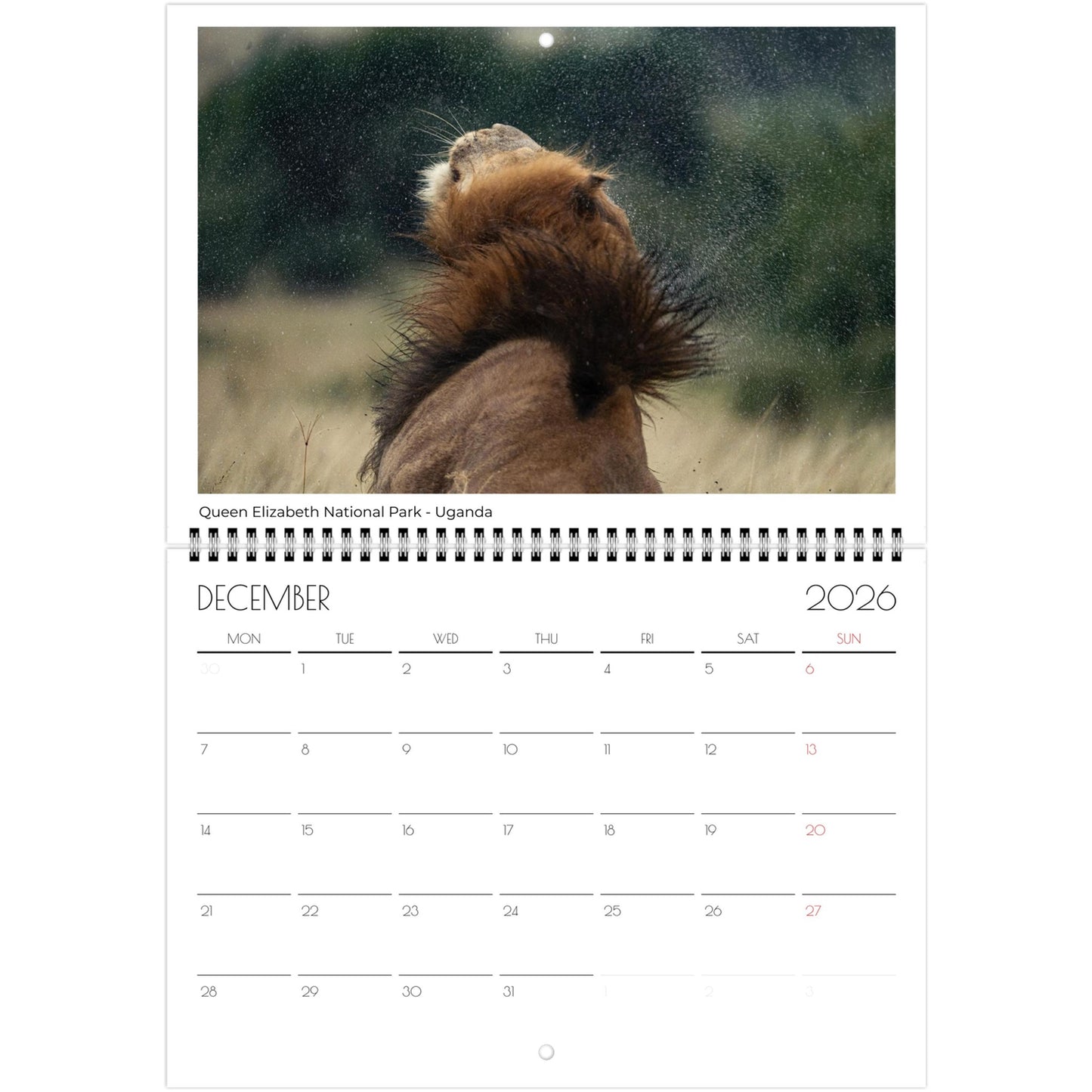 c8172dcb-a5f2-4591-8bdf-8ee403aa259f