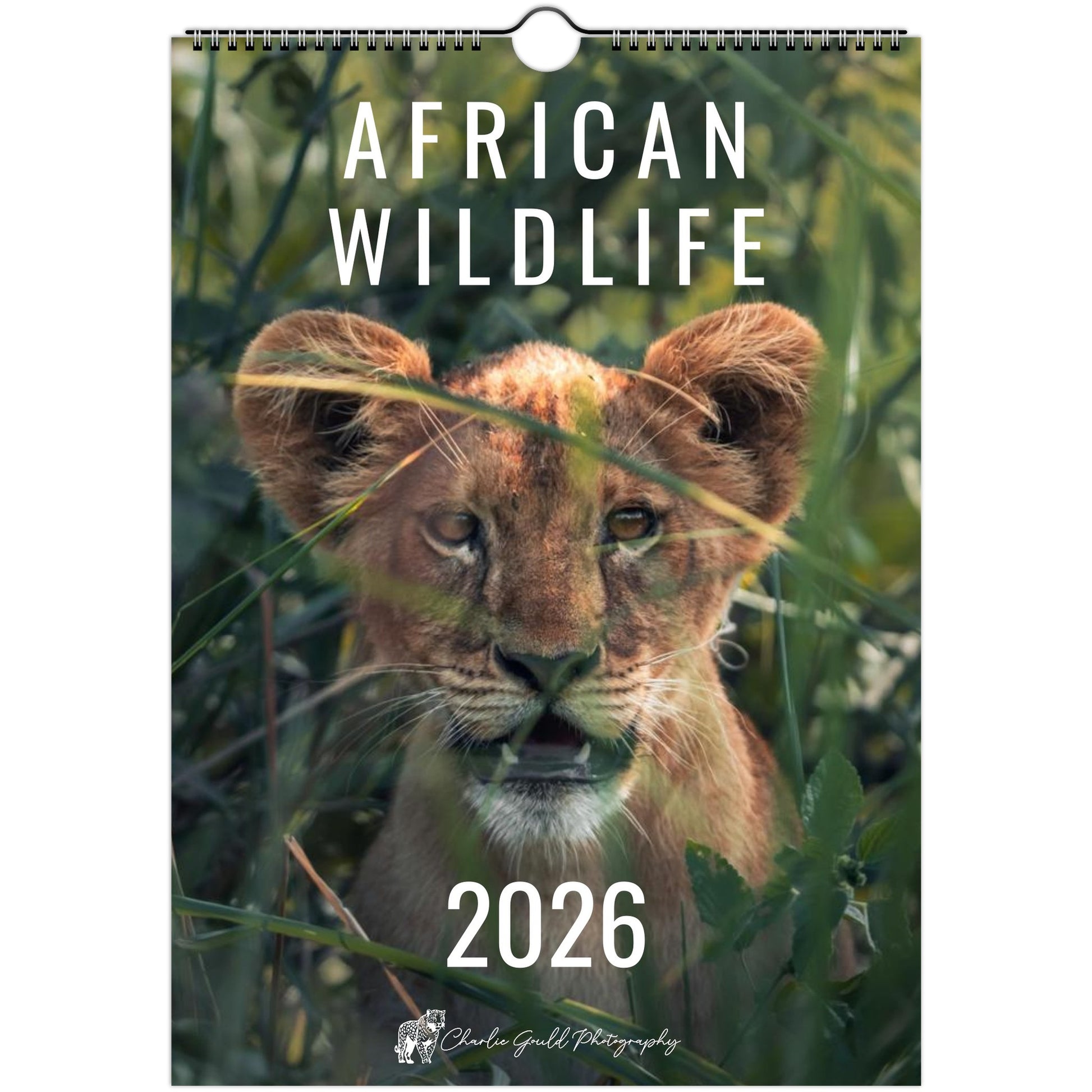 fab99053-e2d9-49c5-bca1-803e25be772f