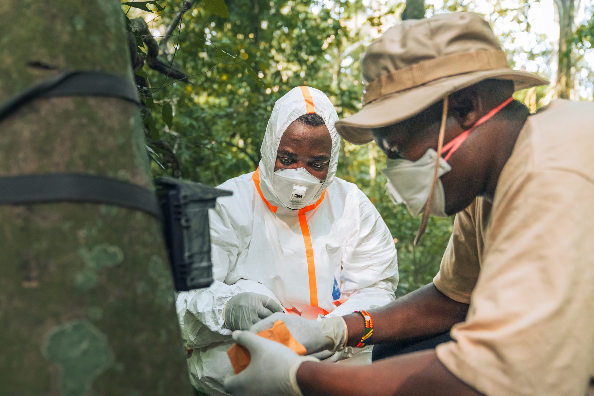 Field research with the Kyambura Lion Monitoring Project, Uganda